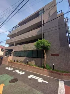 コスモフラワーの画像