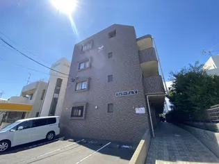 フェリーチェVの画像