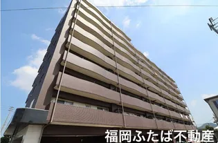 レブリアント板付の画像