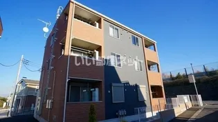 メヌエットの画像