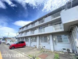 中島田ドミトリーの画像