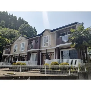 アンセリアの画像