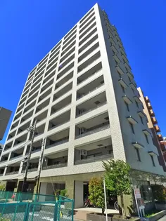 DOMカメイドの画像