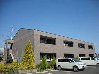 スプリーム アイの画像