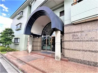 太田リッチコンドミニアム【6階】の外観