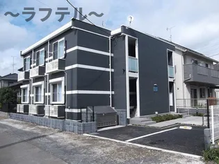 レオネクストシエナの画像