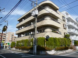 ラピス仲池上の画像