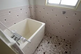 武田ビル【3階】の風呂