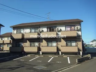 AILEの画像