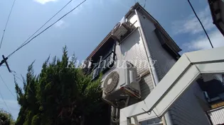 マメケイジュの画像