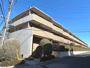 千葉県八千代市大和田新田【マンション】の外観