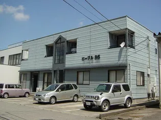 ピープル95の画像