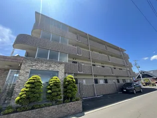 サンベルジュの画像