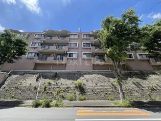 マキシムIK6の画像