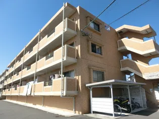 エスターテの画像