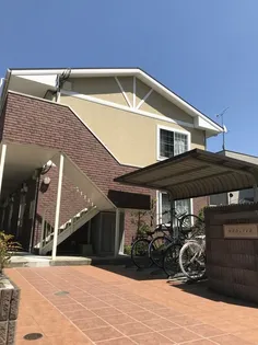 ネオリーブの画像