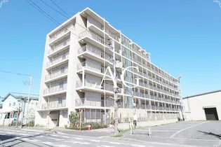 ベルドゥムール鎌ケ谷オークの画像