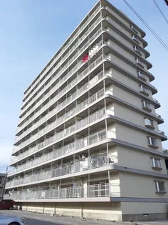 ロゼ2の画像