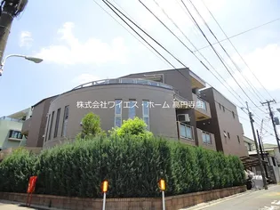 ベネチアーノの画像