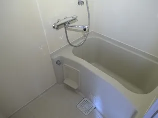 スノーランド城西【2階】の風呂