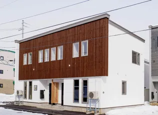 フリージアの画像