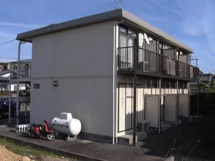 アスターAの画像