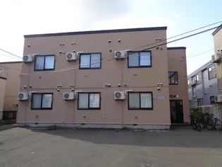 サンフラワーの画像