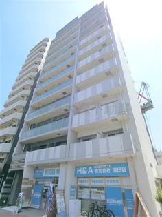 アルテシモレガの画像