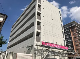 プルメリアの画像