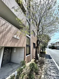 マンションアルボの画像