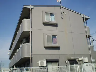 ピアリーさつきの画像