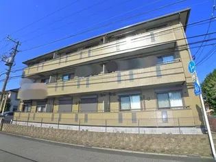 セジュール山の根の画像