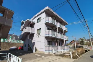 レインボー2の画像