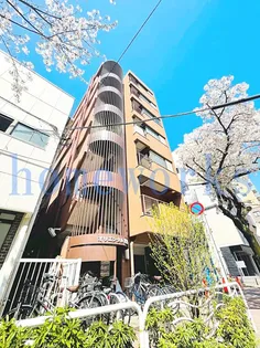 オリエンタル常盤の画像