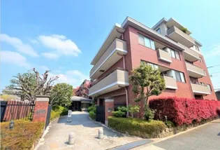碑文谷ヒルズサレジオ通りの画像