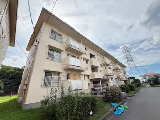 百舌鳥本町住宅4棟の画像