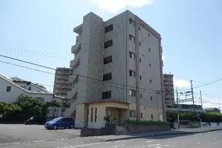 Ms南ヶ丘【2階】の外観