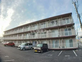 グレイスコート【3階】の外観