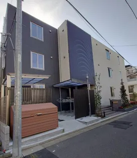 サンセベリアIIの画像