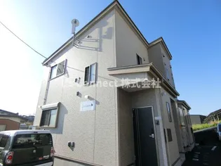 LES CHATONSの画像