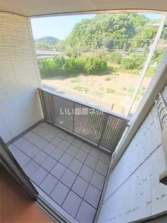 メゾン・chitoseの内装