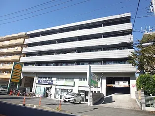 イーグルの画像