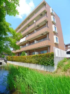 プラージュ南与野の画像