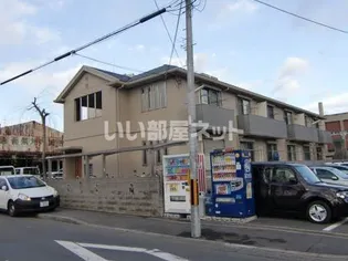 スプリング大将軍の画像