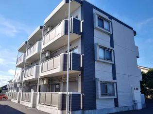 ミリオンディンプルの画像