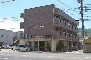 ビューオークの画像