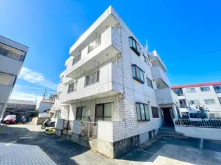 シャルムマロンの画像