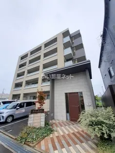 セレーナの画像