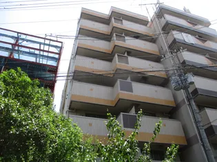 大阪府大阪市西成区天下茶屋1【マンション】の外観