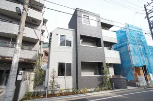 Y'S 桜の画像